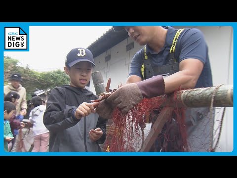 伊勢エビかかり子ども大喜び 網にはウツボも 「刺し網漁」の体験学習