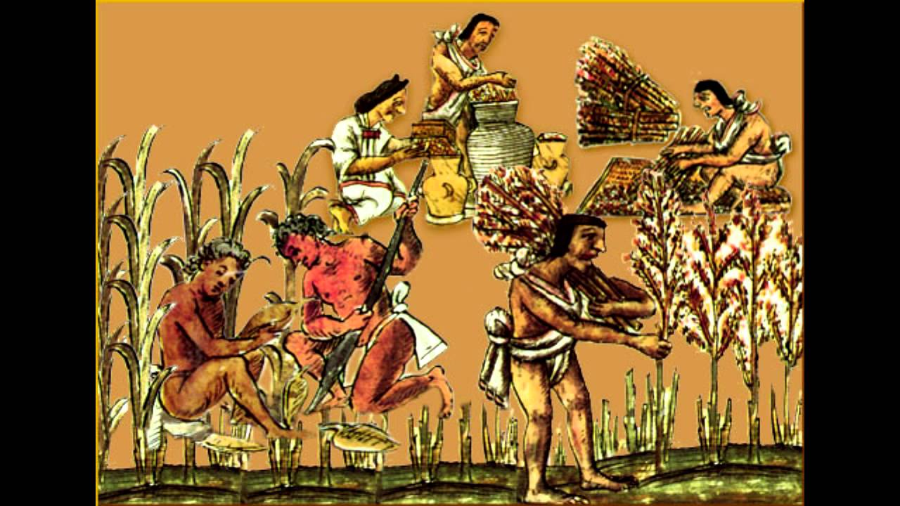 La Economia En La Epoca Prehispanica