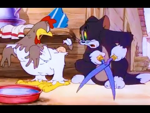 Tom and Jerry - Fine Feathered Friend