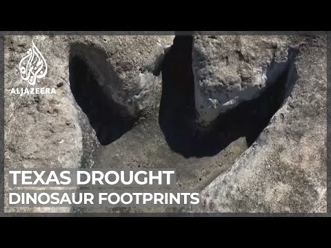 Texas drought reveals dinosaur footprints millions of years old