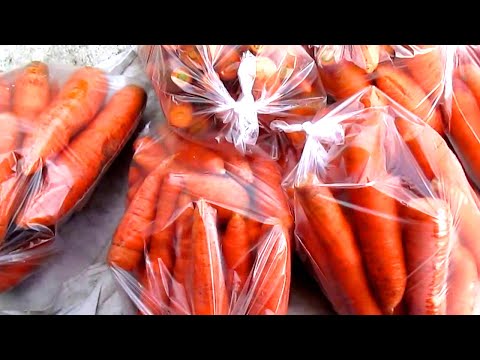 Clean Your Arteries: What are the benefits of carrots in your body? What happens if you eat carrots