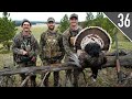 Montana merriams turkeys on public land gobblers on fire  