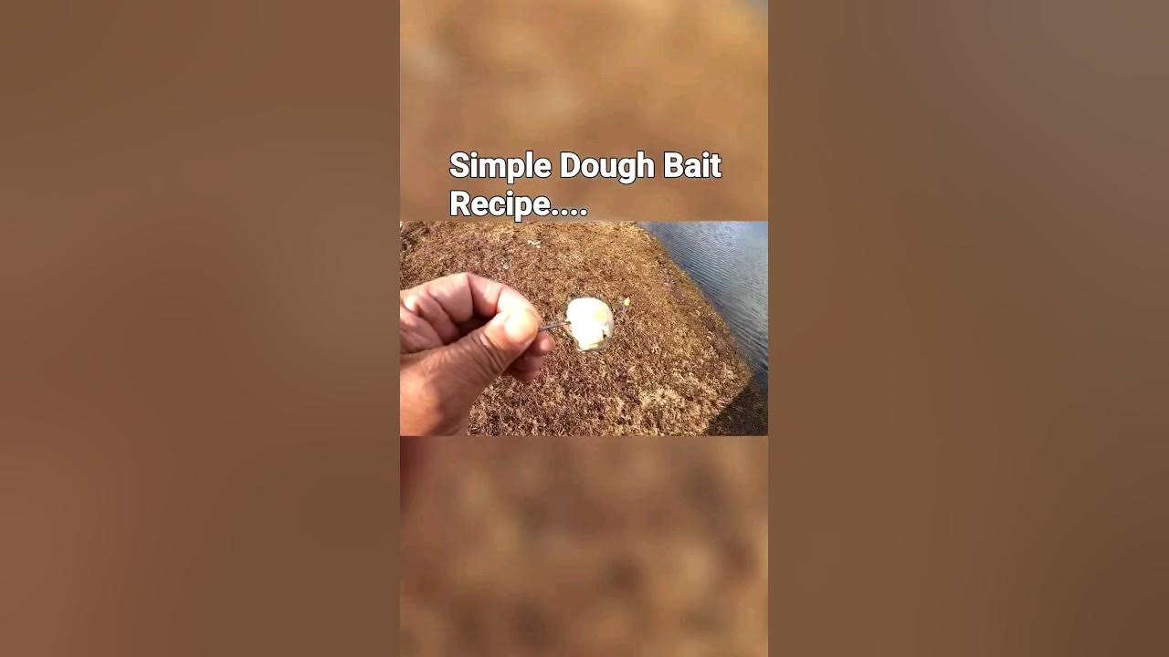 Give This Simple Dough Bait Recipe a Try! fishing centerpin catfish