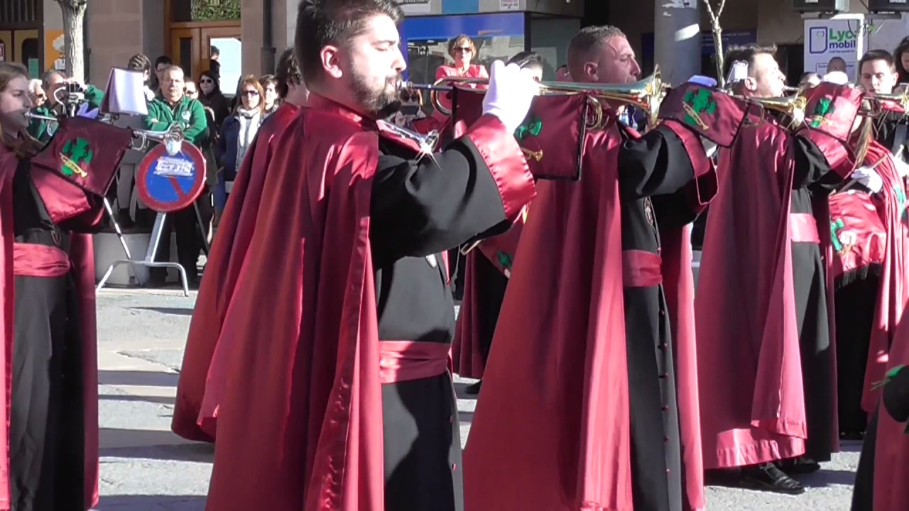 CONCENTRACIÓN DE BANDAS CALAHORRA 2017.Santa Vera Cruz de Calahorra