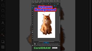 One Click Remove Background in CorelDRAW 2026 #coreldraw #photoshop