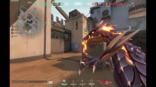 300 Iq Valorant Game