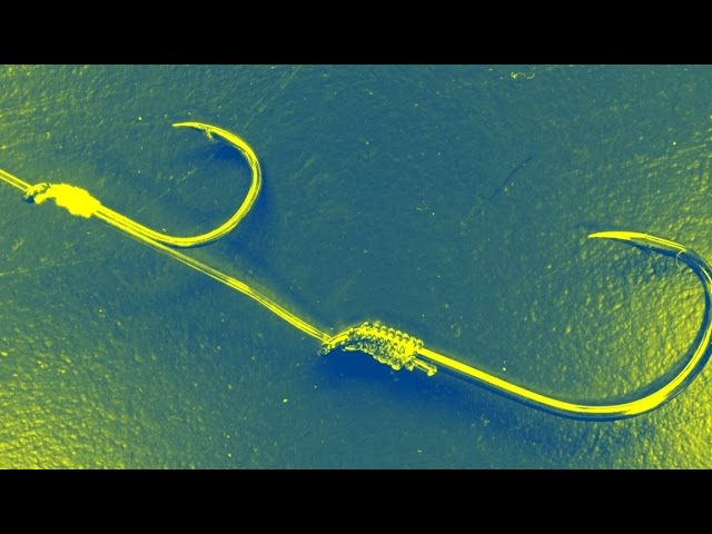 可拉上和拉下的活餌魚鉤 Youtube