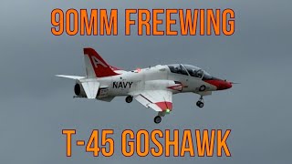 Wet stormy flight | Freewing 90mm T-45 Goshawk