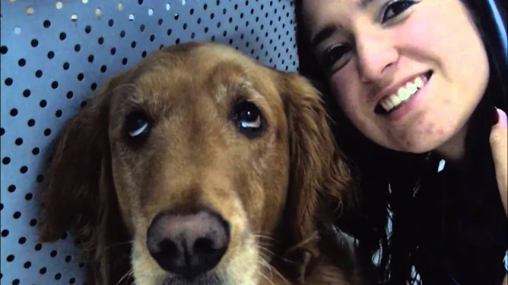 MARISOL ARIZA - AU PAIR VIDEO
