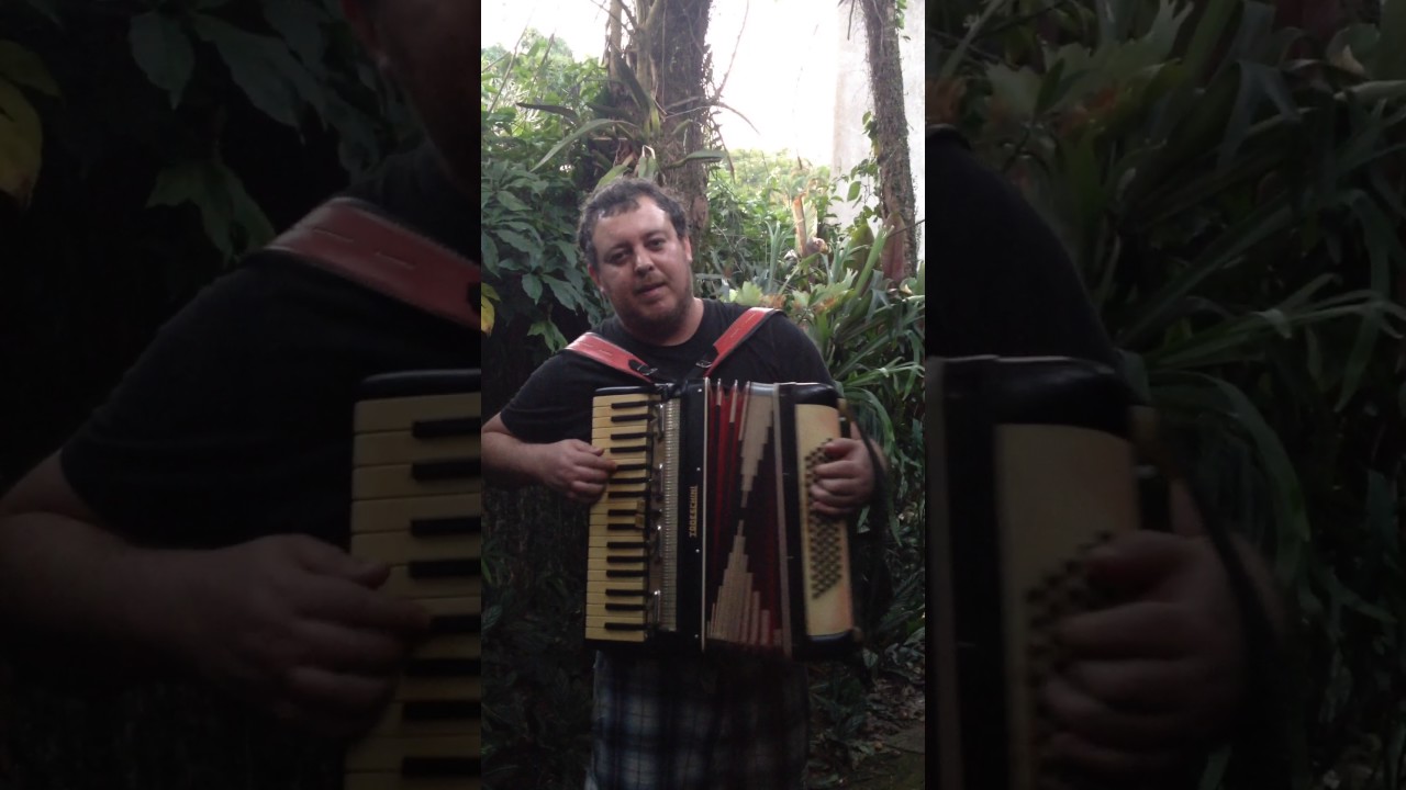 La valse des monstres - Daniel Valentini cover de Yann Tiersen