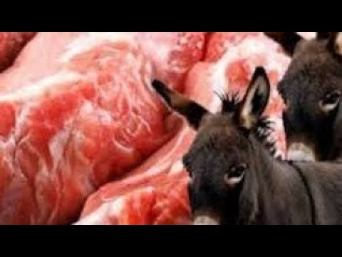 شاهد أسرار صنع اللانشون