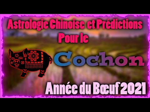 Vidéo: Horoscope Oriental : Ce Qui Attend Les Personnes Nées L'année Du Cochon