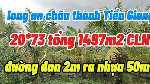 Tập 273 : Vườn dừa cho trái nghĩ dưỡng . Ra đại học Tiền Giang mới 500m 