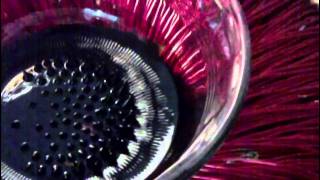 Ferrofluid Rodin Coil Rotation