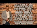 Colaj Hore || Muzica de Petrecere Colaj SARBE || Muzica de Petrecere 2022