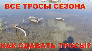 Все тросы сезона. Как сдавать тросы?