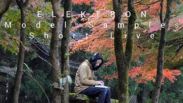 ELEKTRON Model:Samples 17