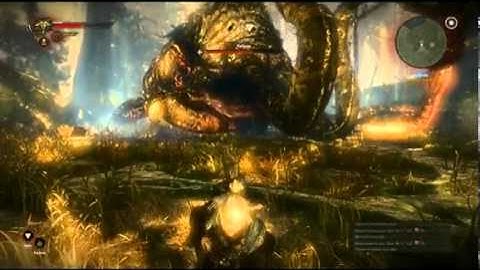 The Witcher 2 Keiran Tutorial Hard