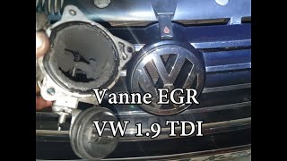 Vanne EGR VW 1.9 TDI SHARAN, Ford Galaxy, SEAT.