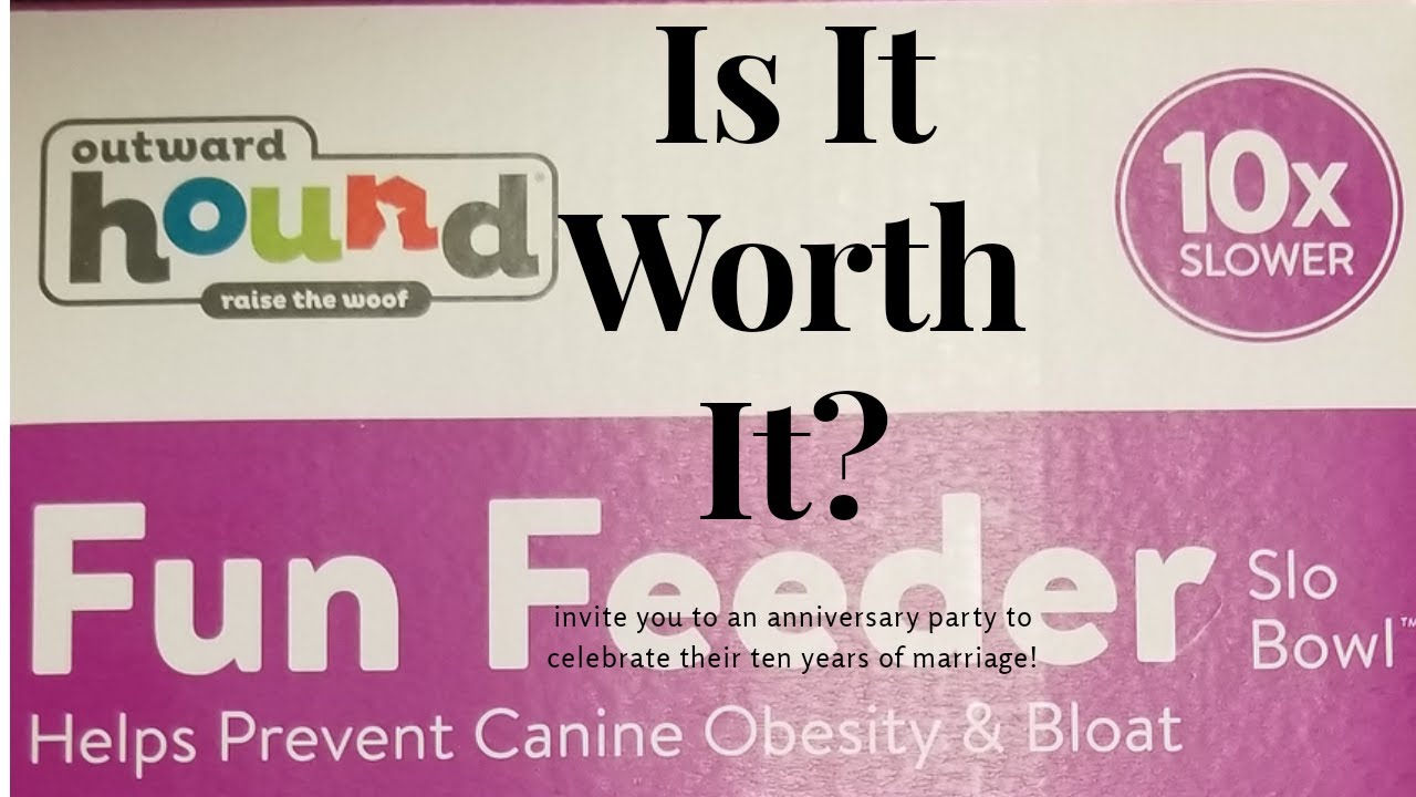 Outward Hound Fun Feeder Dog Bowl YouTube outward-hound-fun-feeder-dog-bowl-youtube