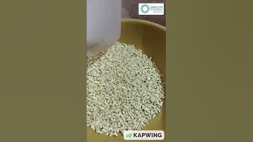 Garlic Sorting Machine - Origin Color Sorter