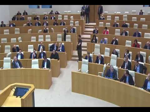 აი, სადამდე მიიყვანეს,ბო**შვილი ვიყო — გოგიჩაშვილი პარლამენტში