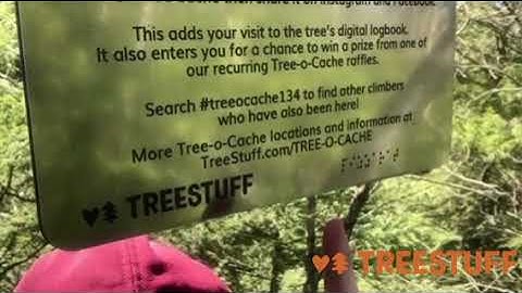 #TREEOCACHE134 by Chad Brandt - Tree-o-Cache Adventure - TreeStuff