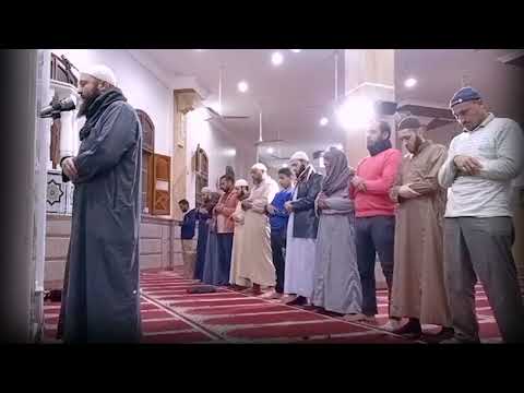 وإن تصبروا وتتقوا لا يضركم كيدهم شيئا آل عمران الشيخ محمد بن مغربي البيطار