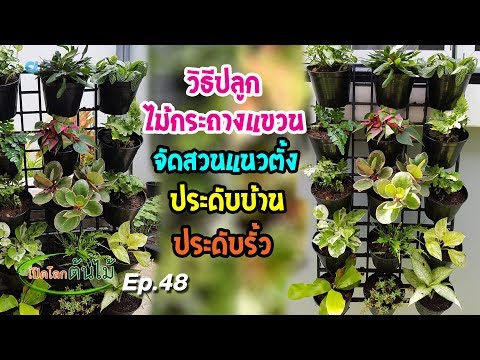 วีดีโอ: คำแนะนำในการแขวนต้นไม้ – เรียนรู้เกี่ยวกับวิธีการต่างๆ ในการแขวนต้นไม้