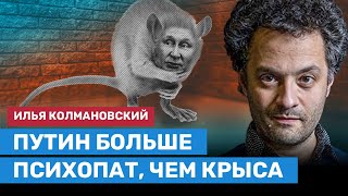 КОЛМАНОВСКИЙ: Путин больше психопат, чем крыса