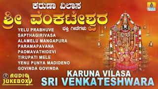 ಶ್ರೀ ಶ್ರೀನಿವಾಸ ಭಕ್ತಿಗೀತೆಗಳು |  Karuna Vilasa Sri Venkateshwara | S. Janaki I Devotional Songs screenshot 2