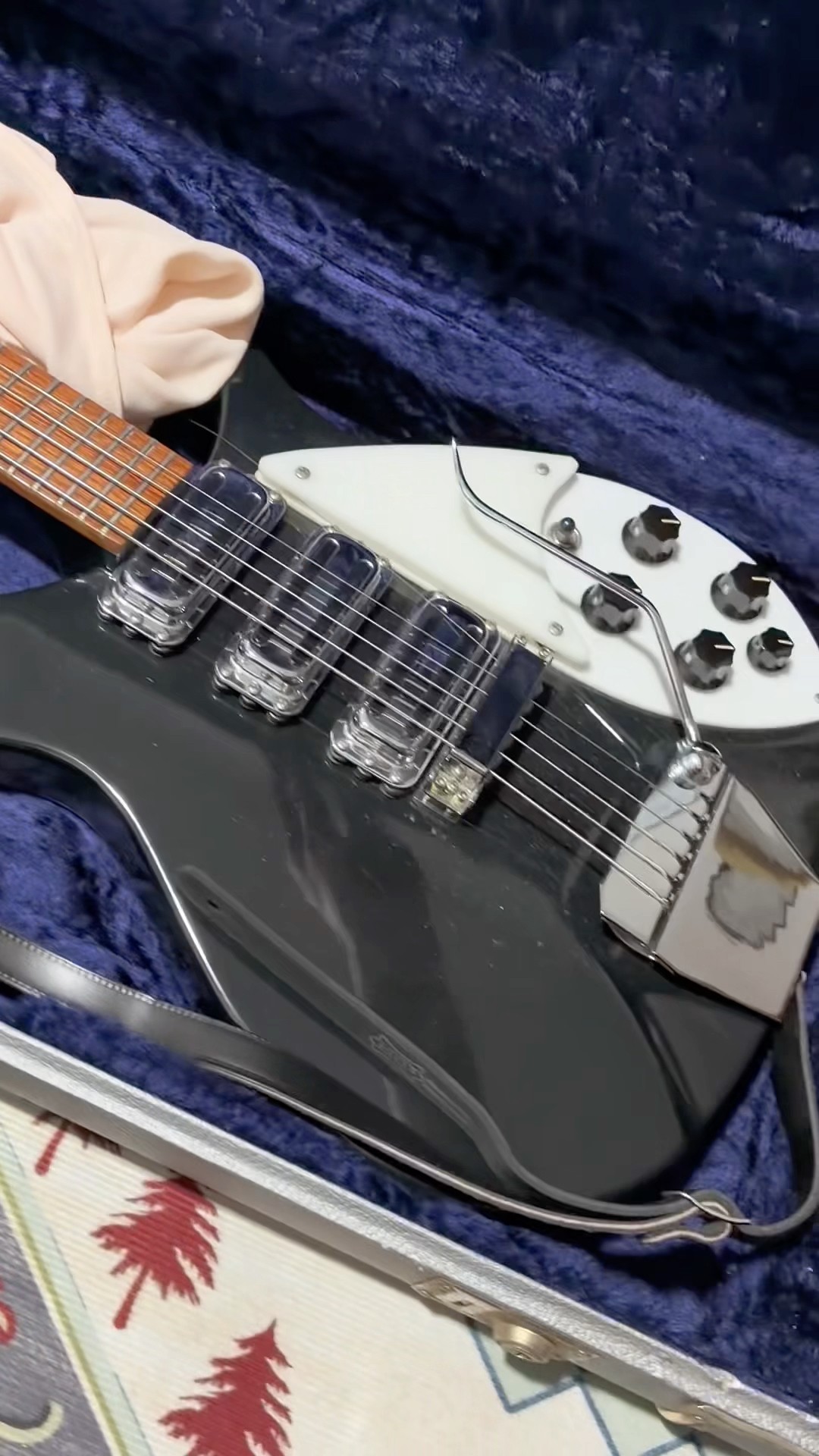 Rickenbacker 325V63 (1996) Quick Unboxing #guitar #rickenbacker