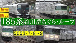 185系【特急・谷川岳もぐら・ループ】高崎～岡部