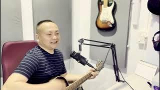 Europe - Homeland (Almost acoustic cover) | JTP