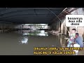 Mancing ikan nila bawah jembatan sehabis hujan panen saya