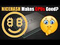 NICEHASH CPU MINING Profits Spike?