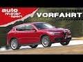 Alfa Romeo Stelvio: Zu schön, um wahr zu sein? - Vorfahrt | auto motor und sport