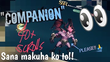 MU Origin 3 ASIA | COMPANION