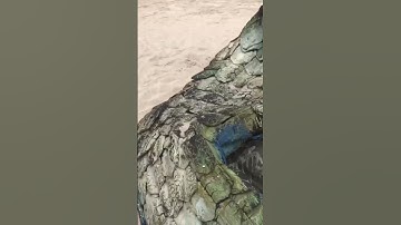 Thumbnail of Mami Water Tail (Prop) on a Lagos beach