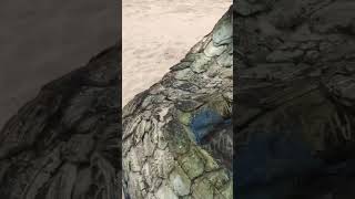 Mami Water Tail Prop On A Lagos Beach