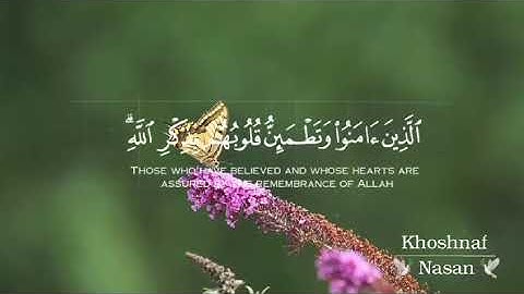 القرآن الكريم | سورة الرعد | القاري عبدالرحمن مسعد | تلاوة خاشعة جميلة جدان😌❤️| حالات وتس اب🌸✨❤️