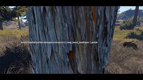 rust how to identify entities