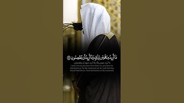 ﴿ وَمَا خَلَقْتُ الْجِنَّ وَالْإِنْسَ إِلَّا لِيَعْبُدُونِ ﴾ تلاوة خاشعة محبّرة للشيخ أحمد الحذيفي 🤍