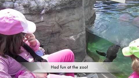 Autism success/Non-verbal/iPad/Proloquo2Go