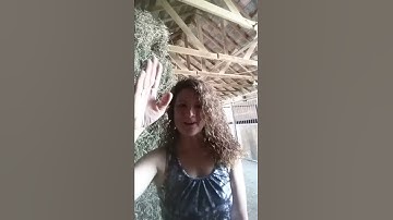 ASL sign for "Excuse Me" (04/27/2020)