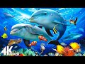 Relaxing Music to Relieve Stress, Anxiety &amp; Depression 🐬 Mind, Body - Overcome Overthinking #5