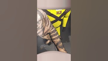 This Lethal Company Mod is Hilarious