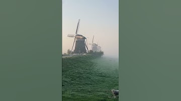 #اكسبلور #quran #explore #explorepage #اكتب_شيء_تؤجر_عليه #القرآن #القرآن_الكريم #راحة_نفسية #تلاوة