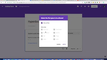 Interactive Google Form Submission