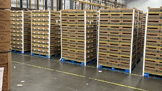 $9,000 Gross  week Reefer owner operator